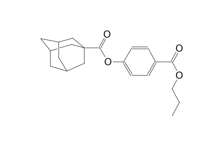 4-(propoxycarbonyl)phenyl 1-adamantanecarboxylate