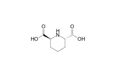 (2S,6S)-piperidine-2,6-dicarboxylic acid