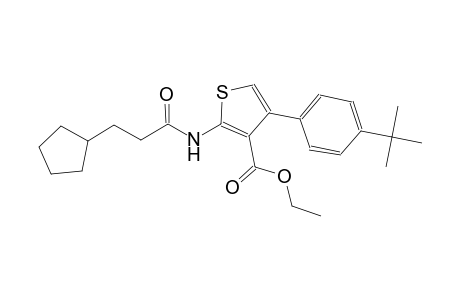 ethyl 4-(4-tert-butylphenyl)-2-[(3-cyclopentylpropanoyl)amino]-3-thiophenecarboxylate