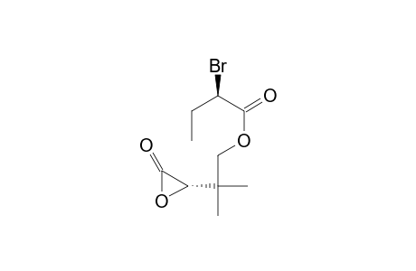 (R,S)-2-Bromobutanoic Acid (R)-Pantolactone Ester
