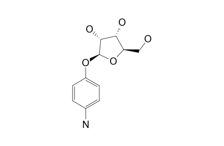 1-O-(PARA-AMINO-PHENYL)-BETA-D-RIBOFURANOSIDE