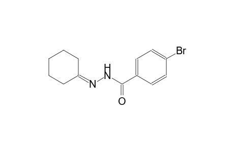 4-bromo-N'-cyclohexylidenebenzohydrazide