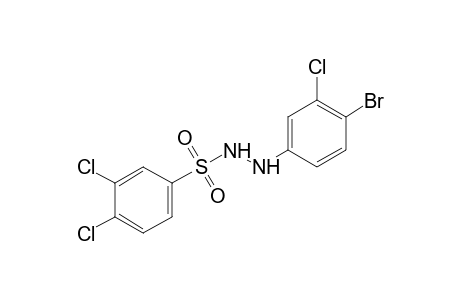 3,4-dichlorobenzenesulfonic acid, 2-(4-bromo-3-chlorophenyl)hydrazide