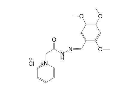 pyridinium, 1-[2-oxo-2-[(2E)-2-[(2,4,5-trimethoxyphenyl)methylene]hydrazino]ethyl]-, chloride