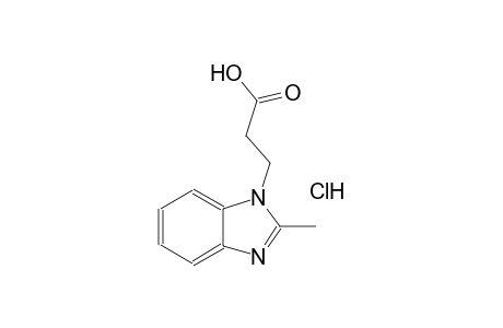 3-(2-methyl-1H-benzimidazol-1-yl)propanoic acid hydrochloride