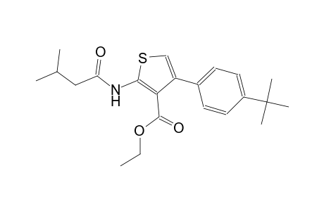ethyl 4-(4-tert-butylphenyl)-2-[(3-methylbutanoyl)amino]-3-thiophenecarboxylate