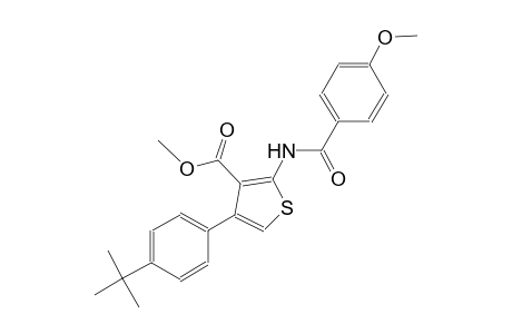 methyl 4-(4-tert-butylphenyl)-2-[(4-methoxybenzoyl)amino]-3-thiophenecarboxylate
