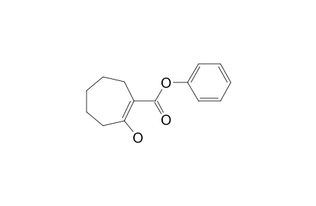 PHENYL-2-OXOCYCLOCARBOXYLATE