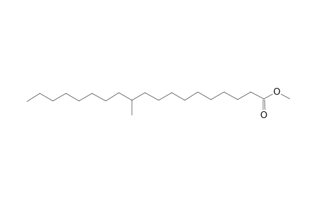 Nonadecanoic acid, 11-methyl-, methyl ester