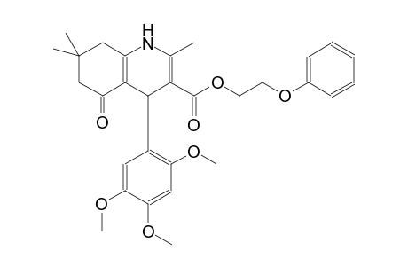 3-quinolinecarboxylic acid, 1,4,5,6,7,8-hexahydro-2,7,7-trimethyl-5-oxo-4-(2,4,5-trimethoxyphenyl)-, 2-phenoxyethyl ester