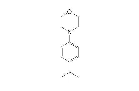 4-(4-(tert-Butyl)phenyl)morpholine