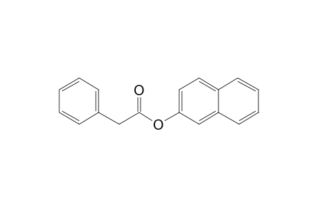 Phenylacetic acid, 2-naphthyl ester