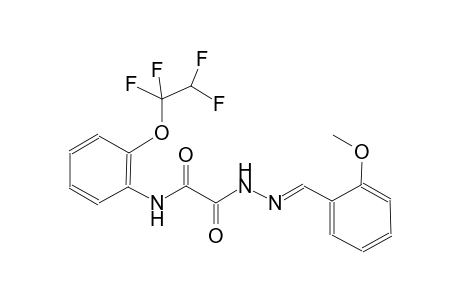 acetic acid, oxo[[2-(1,1,2,2-tetrafluoroethoxy)phenyl]amino]-, 2-[(E)-(2-methoxyphenyl)methylidene]hydrazide