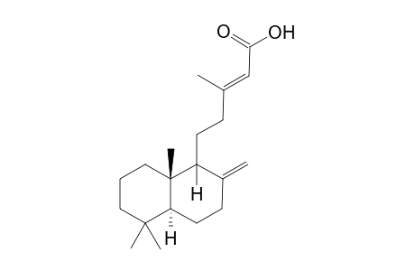 (E)-5-[(1S,4aS,8aS)-5,5,8a-trimethyl-2-methylene-3,4,4a,6,7,8-hexahydro-1H-naphthalen-1-yl]-3-methyl-2-pentenoic acid