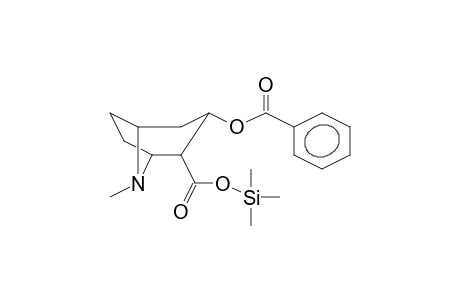 Benzoylecgonine TMS