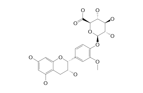 3'-O-METHYLEPICATECHIN-4'-O-BETA-D-GLUCURONIDE