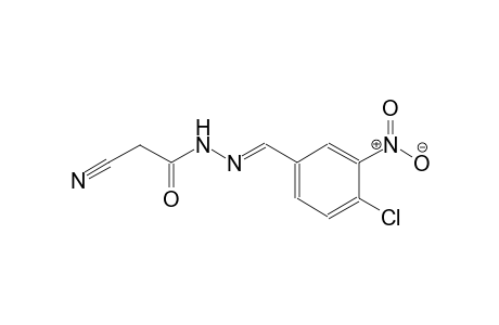 N'-[(E)-(4-chloro-3-nitrophenyl)methylidene]-2-cyanoacetohydrazide