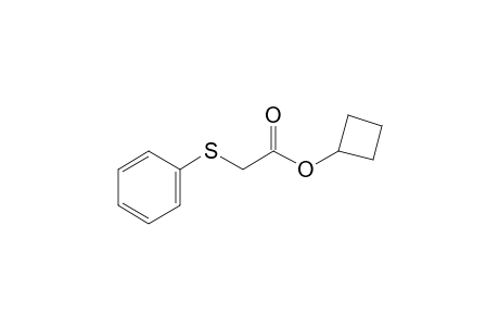 (Phenylthio)acetic acid, cyclobutyl ester