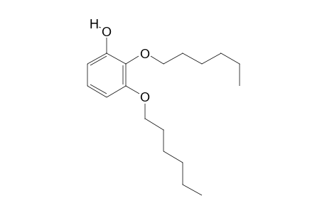 2,3-dihexoxyphenol