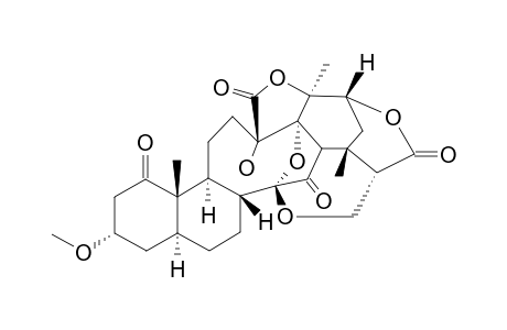 PHYSALIN_W