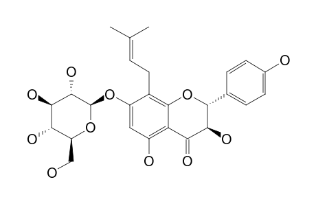 PHELLAMURIN;3,5,7,4'-TETRAHYDROXY-8-(3-METHYLBUT-2-ENYL)-FLAVANONE-7-O-BETA-GLUCOPYRANOSIDE