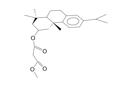 METHYL-2-alpha-MALONOYLOXY-ABIETRATRIENE