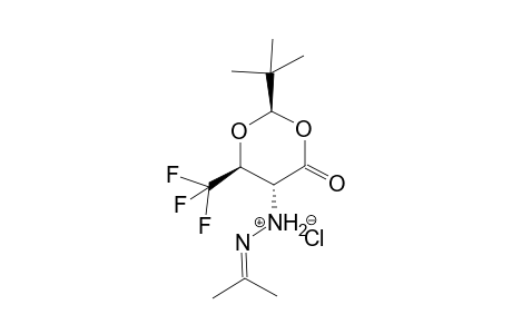 (2R,5R,6S)-2-Tert-butyl-5-(Isopropylidenehydrazino)-6-trifluoromethyl-1,3-dioxan-4-one hydrochloride