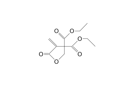 3,3-Bis(ethoxycarbonyl)-2-methylene.gamma.-butyrolactone