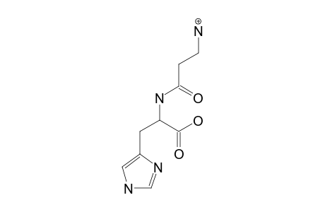 L-CARNOSINE;2-[(3-AMINOPROPANOYL)-AMINO]-3-(1H-IMIDAZOL-5-YL)-PROPANOIC-ACID