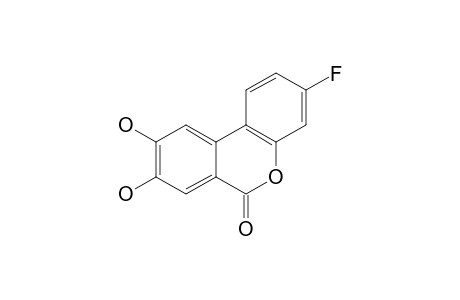 3-FLUORO-8,9-DIHYDROXY-6-H-BENZO-[C]-CHROMEN-6-ONE