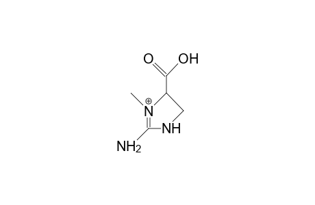 2-Amino-3-methyl-imidazolidine-4-carboxylic acid, cation