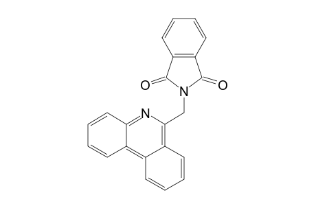 1H-Isoindole-1,3(2H)-dione, 2-(6-phenanthridinylmethyl)-