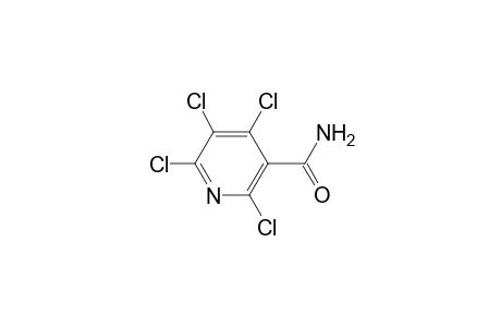 2,4,5,6-Tetrachloro-nicotinamide