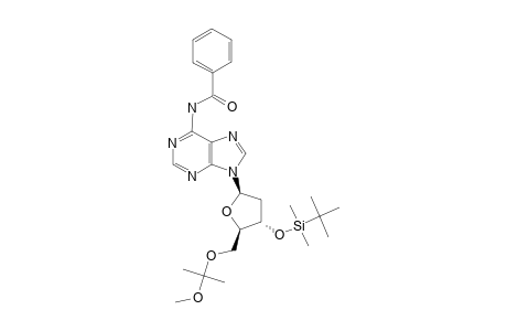 N-(6)-BENZOYL-5'-O-(1-METHOXY-1-METHYLETHYL)-3'-O-(TERT.-BUTYL-DIMETHYL-SILYL)-2'-DEOXY-ADENOSINE