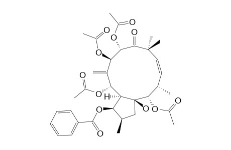 (2S*,3S*,4R*,5R*,7S*,8R*,13R*,14R*,15R*)-5,7,8,14-TETRAACETOXY-3-BENZOYLOXY-15-HYDROXY-9-OXOJATROPHA-6(17),11-DIENE