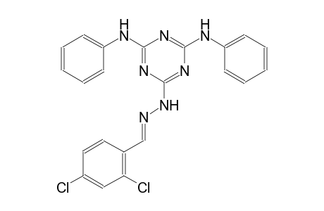 benzaldehyde, 2,4-dichloro-, [4,6-bis(phenylamino)-1,3,5-triazin-2-yl]hydrazone