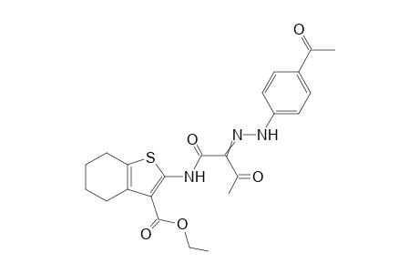 N-(3-Ethoxycarbonyl-4,5,6,7-tetrahydrobenzo[b]thien-2-yl)-2-(4-acetylphenyl hydrazono)-3-oxobutanamide