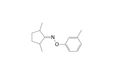 1-(2,5-Dimethylcyclopentylideneamino)oxy-3-methylbenzene
