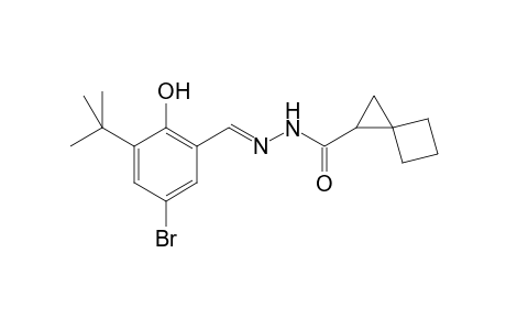 N'-[(E)-(5-Bromo-3-tert-butyl-2-hydroxyphenyl)methylidene]spiro[2.3]hexane-1-carbohydrazide