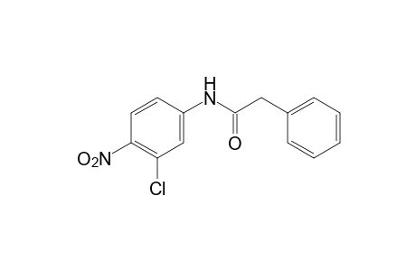 3'-chloro-4'-nitro-2-phenylacetanilide