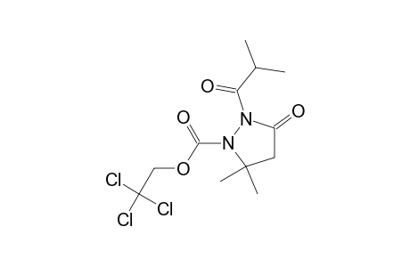 1-(2,2,2-Trichloroethoxncarbonyl)-2-isobutyryl-5,5-dimethylpyrazolidin-3-one