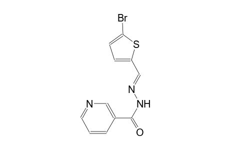 N'-[(E)-(5-bromo-2-thienyl)methylidene]nicotinohydrazide