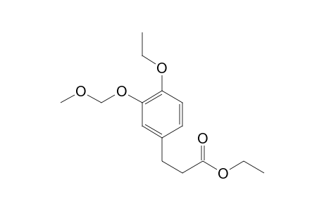 ethyl 3-[4-ethoxy-3-(methoxymethoxy)phenyl]propanoate