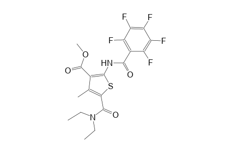 methyl 5-[(diethylamino)carbonyl]-4-methyl-2-[(2,3,4,5,6-pentafluorobenzoyl)amino]-3-thiophenecarboxylate