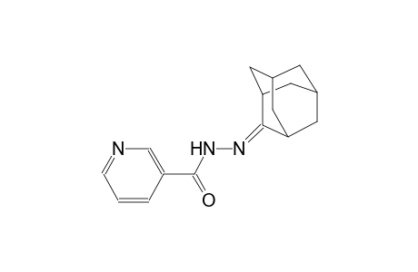 N'-tricyclo[3.3.1.1~3,7~]dec-2-ylidenenicotinohydrazide