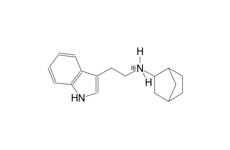 N-[2-(1H-indol-3-yl)ethyl]bicyclo[2.2.1]heptan-2-aminium