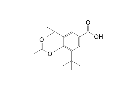 4-Acetoxy-3,5-di-tert-butylbenzoic acid