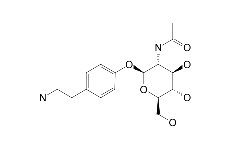 4-(AMINOETHYL)-PEHNYL-2-ACETAMIDO-2-DEOXY-BETA-D-GLUCOPYRANOSIDE