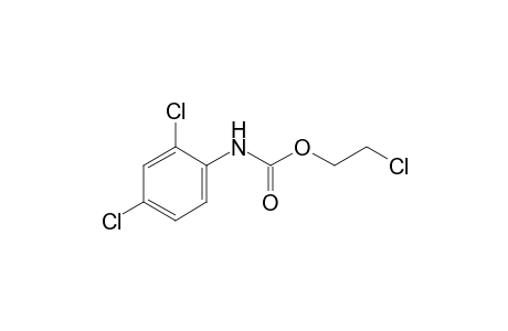 2,4-dichlorocarbanilic acid, 2-chloroethyl ester