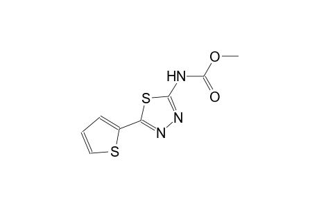 methyl 5-(2-thienyl)-1,3,4-thiadiazol-2-ylcarbamate